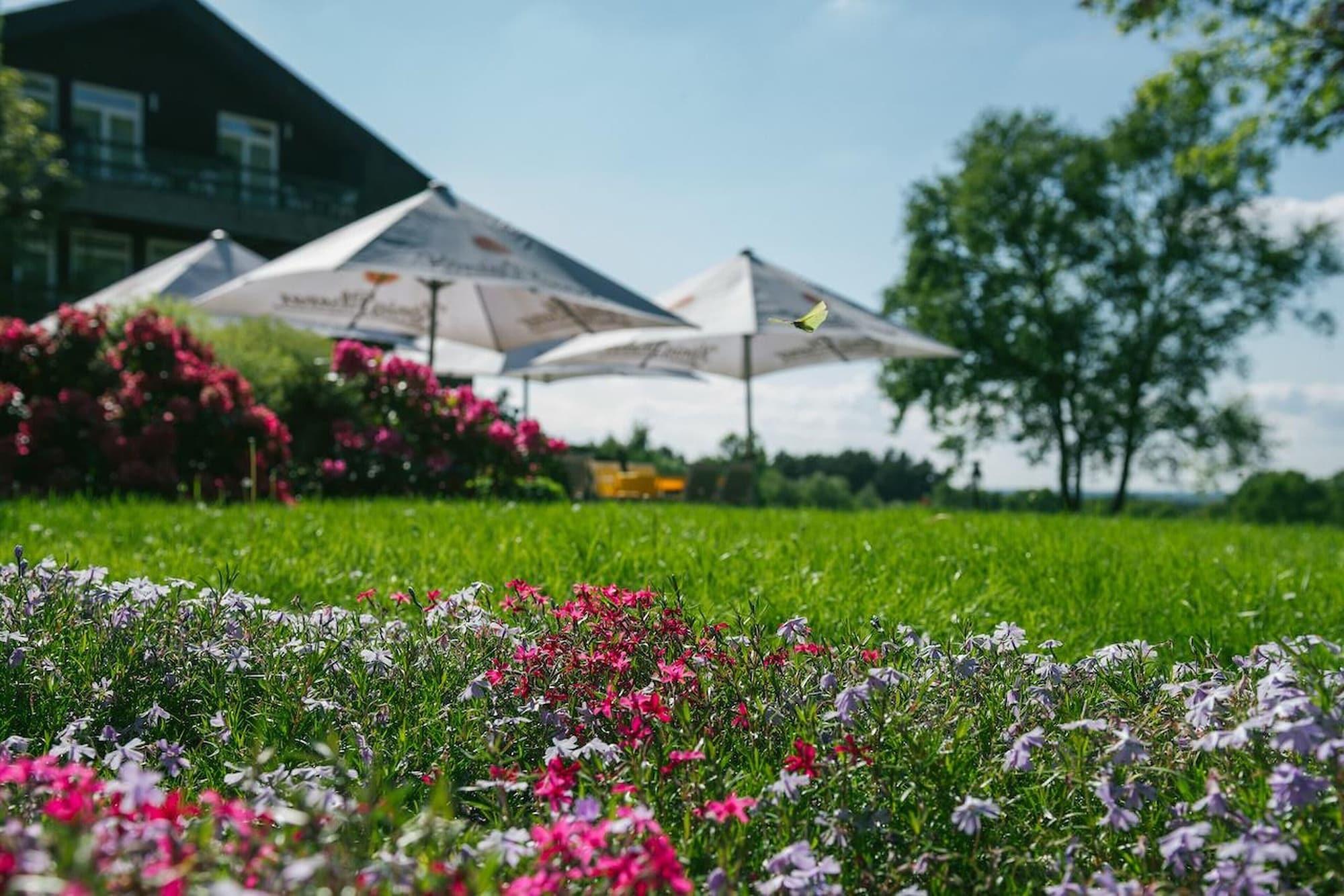 Hotel Landhaus Hoepen Schneverdingen Exteriör bild