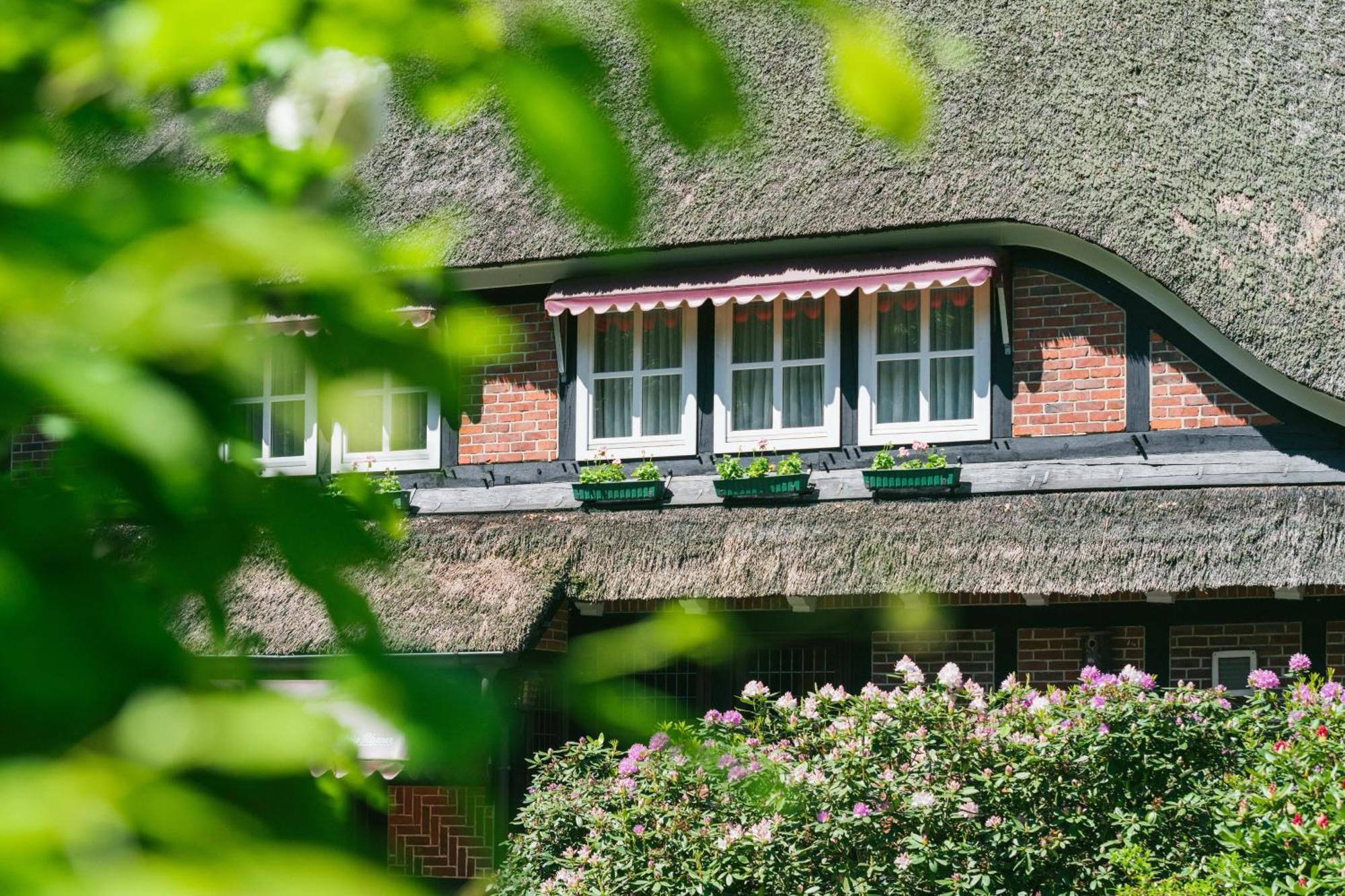 Hotel Landhaus Hoepen Schneverdingen Exteriör bild