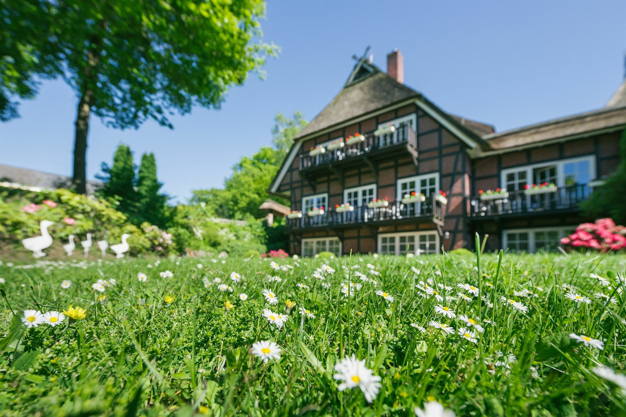 Hotel Landhaus Hoepen Schneverdingen Exteriör bild